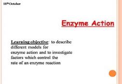 Enzymes-Models Of Action Powerpoint Presentation