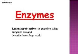 Enzymes-What Are They? Powerpoint Presentation
