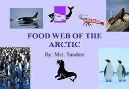 Food Web Of The Arctic Powerpoint Presentation