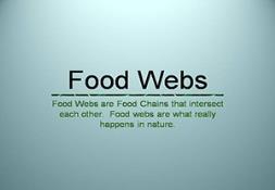 Food Webs Powerpoint Presentation
