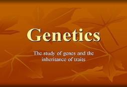 Genetics- General Powerpoint Presentation