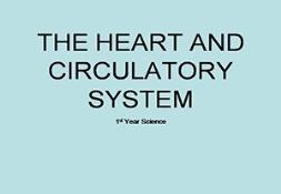Heart And Circulatory System Powerpoint Presentation