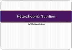 Heterotrophic Nutrition Powerpoint Presentation