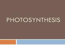 Photosynthesis Powerpoint Presentation