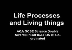 Life Processes Powerpoint Presentation