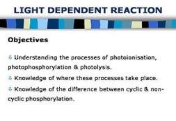 Lightdependentreaction Powerpoint Presentation