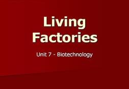Living Factories Powerpoint Presentation