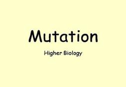 Mutation Powerpoint Presentation
