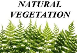 Natural Vegetation Powerpoint Presentation
