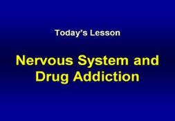 Nervous System And Drug Addiction Powerpoint Presentation
