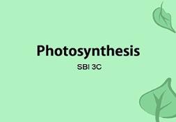 Photosynthesis Sbi Powerpoint Presentation