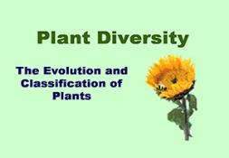 Plant Divisions Powerpoint Presentation