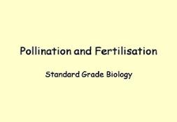 Pollination And Fertilisation Powerpoint Presentation