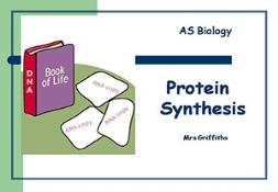 Protein Synthesis Powerpoint Presentation