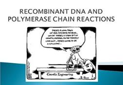 Recombinant Dna And Polymerase Chain Reaction Powerpoint Presentation