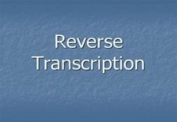 Reverse Transcription Powerpoint Presentation