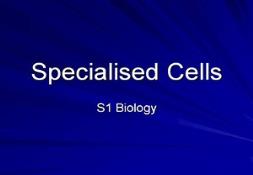 Specialised Cells Powerpoint Presentation