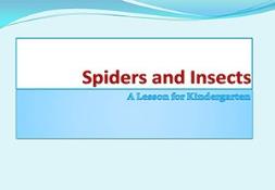 Spiders And Insects Powerpoint Presentation