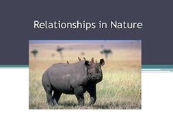 Relationships In Nature Powerpoint Presentation