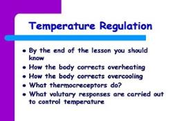 Temperature Regulation Powerpoint Presentation