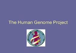 The Human Genome Project Powerpoint Presentation