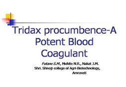 Tridax Procumbence A Paper Presentation Powerpoint Presentation