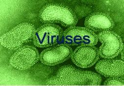 Viruses And Hiv Powerpoint Presentation