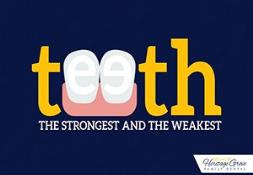 Teeth: The Strongest And The Weakest PowerPoint Presentation
