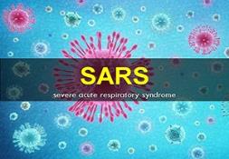 SARS (Severe Acute Respiratory Syndrome) PowerPoint Presentation