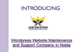 Wordpress Website Maintenance and Support Company in Noida Powerpoint Presentation