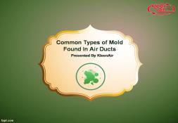 Common Types Of Mold Found In Air Ducts PowerPoint Presentation