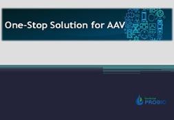 One-Stop Solution for AAV Powerpoint Presentation