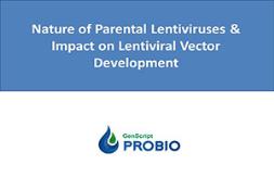 Nature of Parental Lentiviruses and Impact on Lentiviral Vector Development PowerPoint Presentation