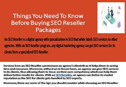 Things You Need To Know Before Buying SEO Reseller Packages PowerPoint Presentation