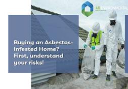 Buying an Asbestos-Infested Home PowerPoint Presentation