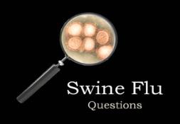 Swine Flu Questions and Answers Powerpoint Presentation