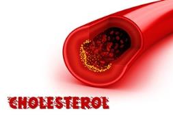 Cholesterol Powerpoint Presentation