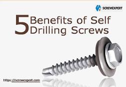 5 Benefits of Self Drilling Screws PowerPoint Presentation