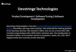 Custom Software Development Company in India Powerpoint Presentation