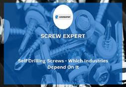 Self Drilling Screws-Industries Rely On Powerpoint Presentation
