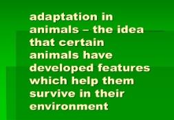 Adaptation in animals (the idea that certain animals) PowerPoint Presentation