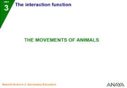 The movements of animals PowerPoint Presentation
