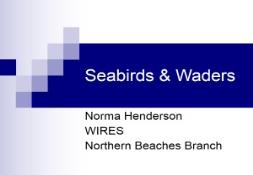 Sea birds and Water Birds PowerPoint Presentation