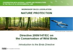 Birds Directive introduction PowerPoint Presentation