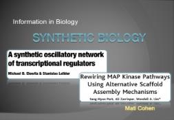 Synthetic Biology PowerPoint Presentation