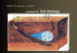 Soil Biology PowerPoint Presentation
