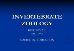 INVERTEBRATE ZOOLOGY PowerPoint Presentation