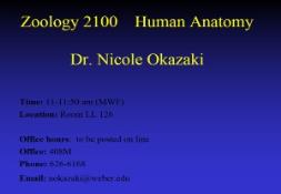 Zoology 2100 Human Anatomy PowerPoint Presentation