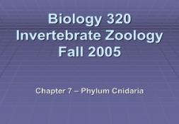 Biology 320 Invertebrate Zoology Falls 2005 PowerPoint Presentation