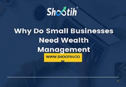 Why Do Small Businesses Need Wealth Management PowerPoint Presentation